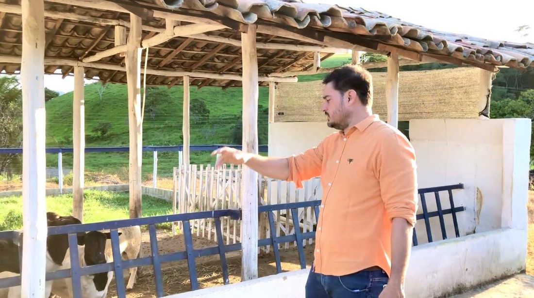 Rebanho de ovinos em manejo sob sombrite