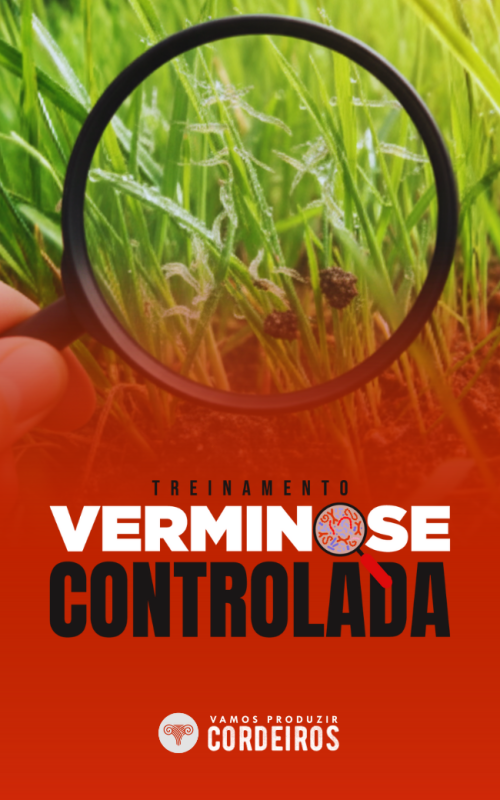 CAPA PRODUTO LISTA FORTE_Hotclub (4)