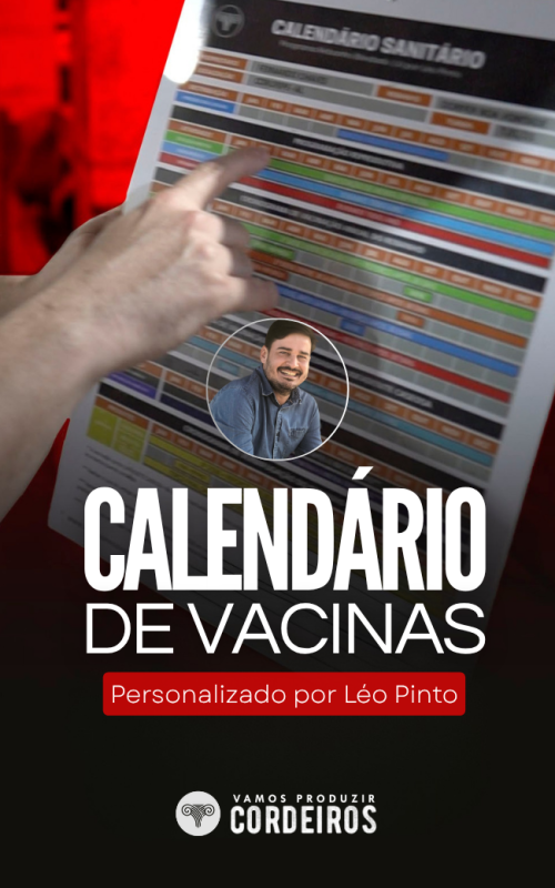 CAPAS DE MÓDULOS (30)