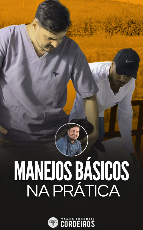 CAPAS DE MÓDULOS (36)