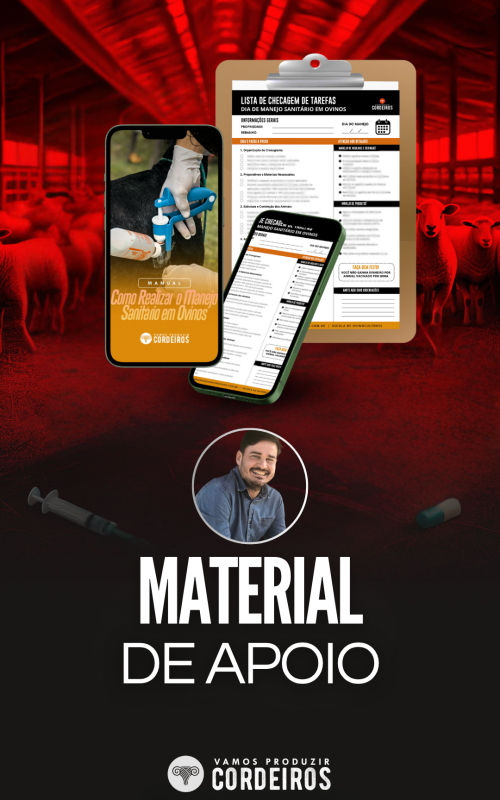 CAPAS DE MÓDULOS (37)