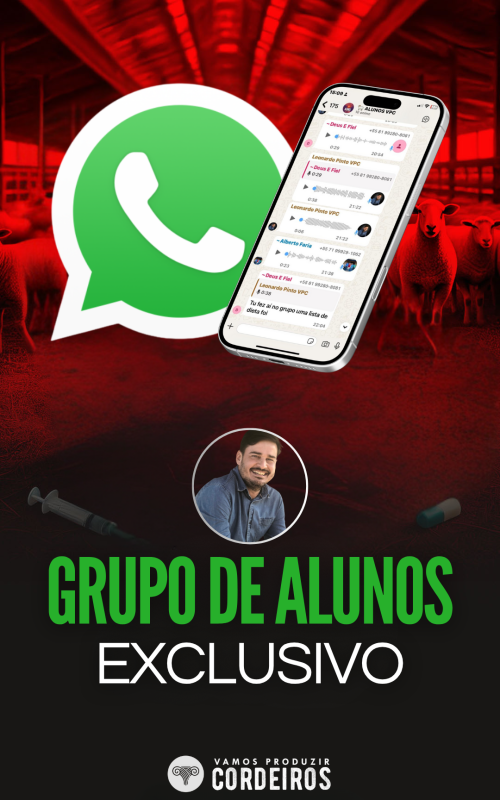 CAPAS DE MÓDULOS (38)