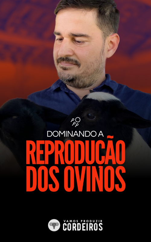 CAPAS DE MÓDULOS (41)