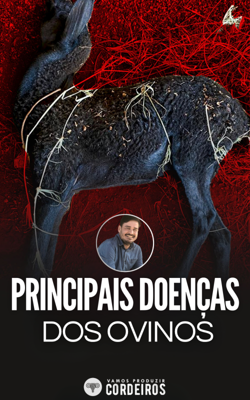 CAPAS DE MÓDULOS (42)